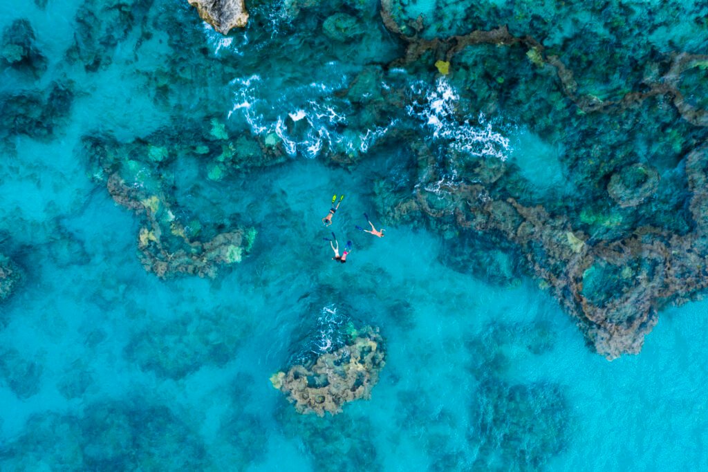 Snorkeling in Bermuda