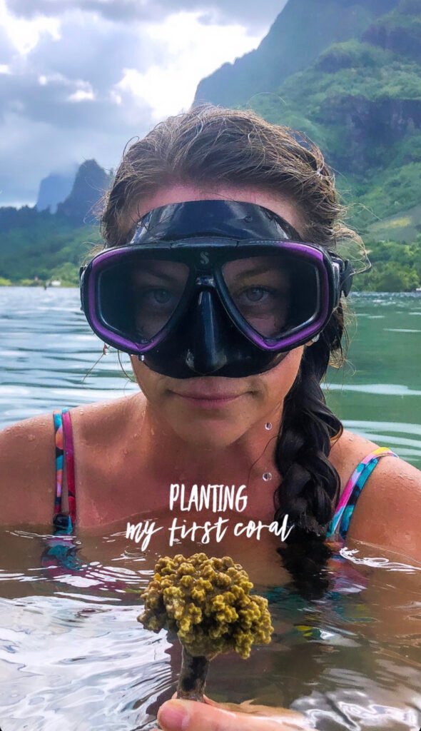 Ashley planting her first coral in moorea French polynesia