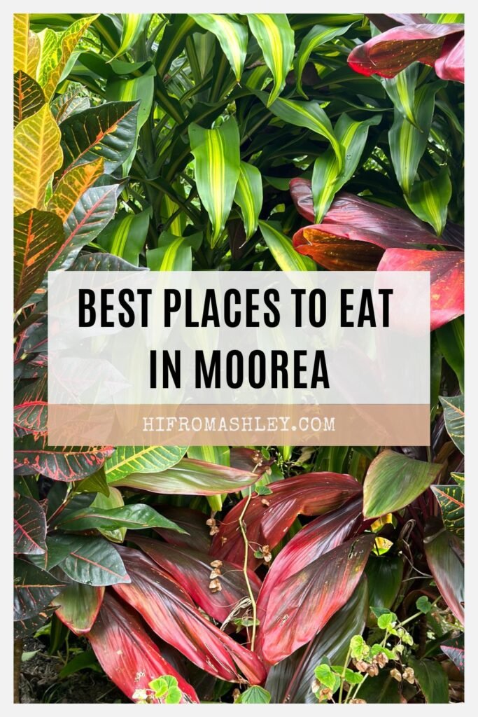 Best Places to Eat in Moorea