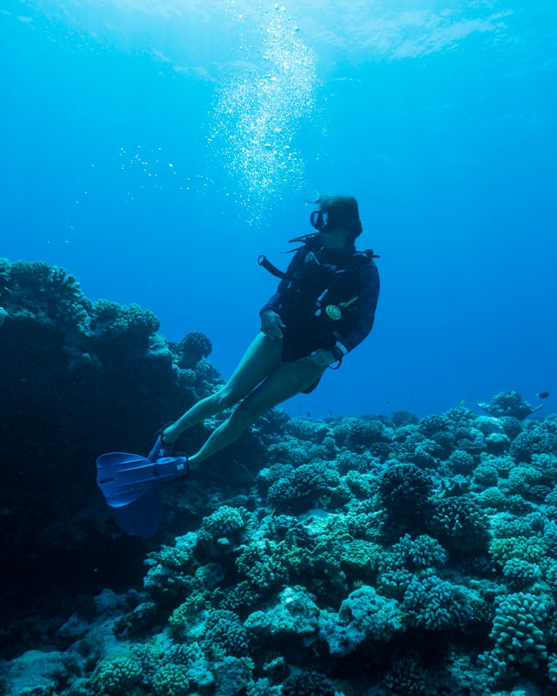 Scuba diving in French Polynesia