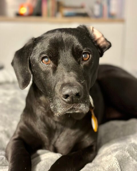 Porter wearing his Apple AirTag