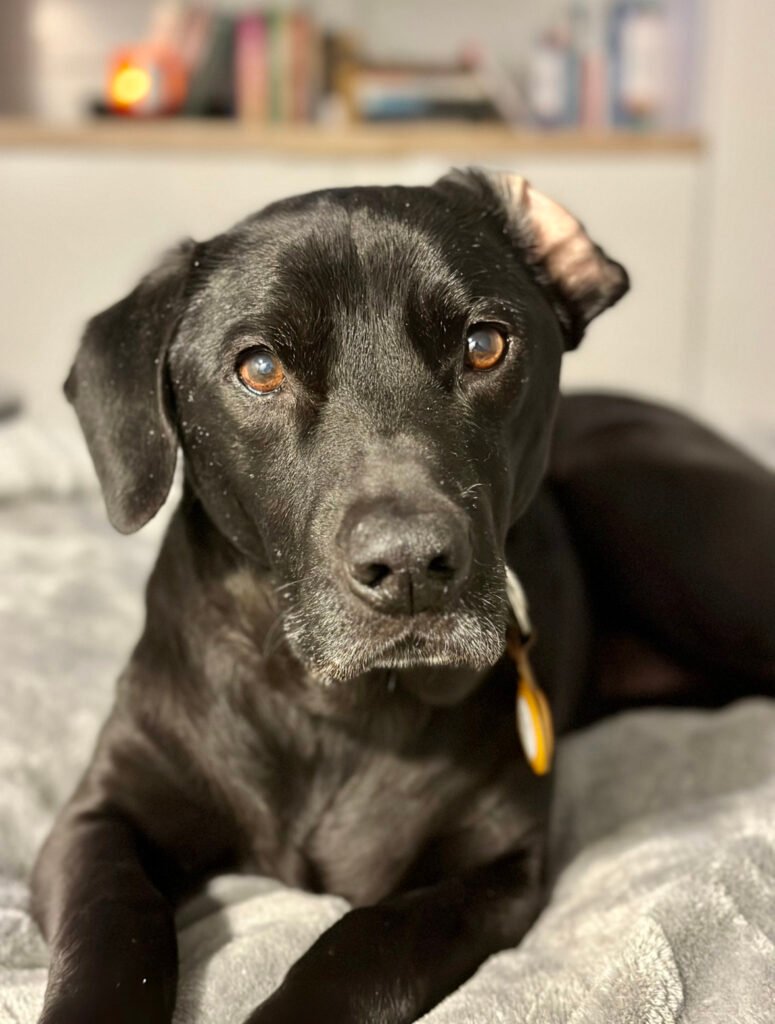 Porter wearing his Apple AirTag