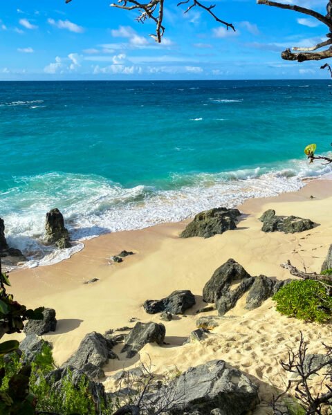Peeking at a beach in Bermuda