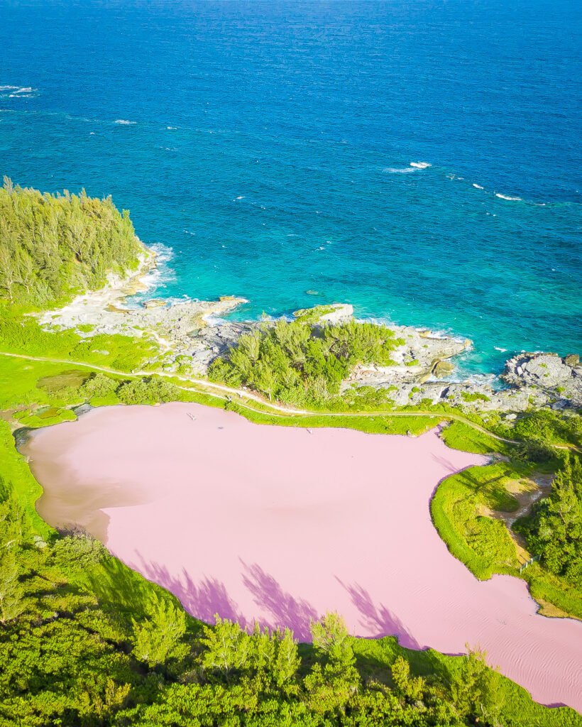 Drone Photo of Spittal Pond a pink pond in Bermuda