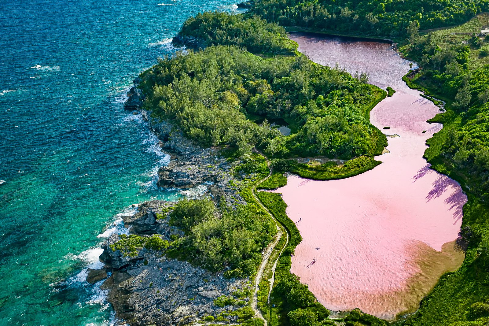 Drone Photo of Spittal Pond a pink pond in Bermuda