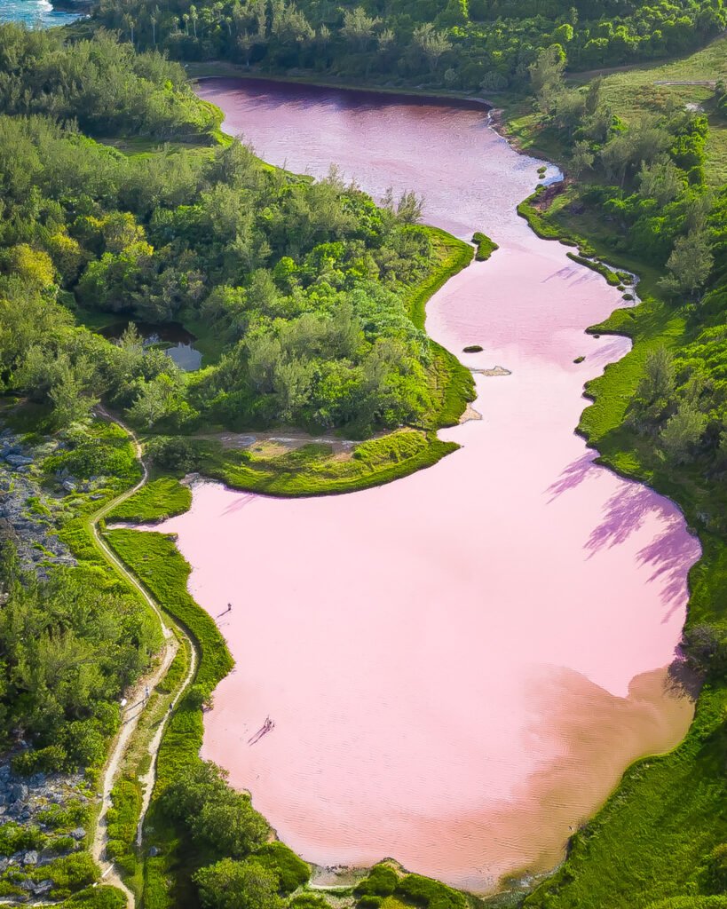 Drone Photo of Spittal Pond a pink pond in Bermuda