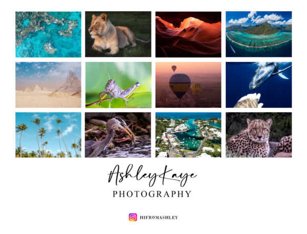 SOLD OUT 2023 Calendar - Image 2