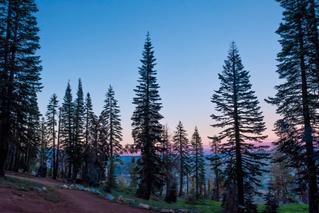 Grouse Ride Tahoe National Forest California