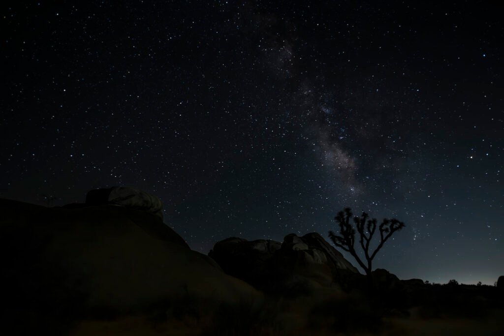 Joshua Tree national park California night photography with the milky way 
