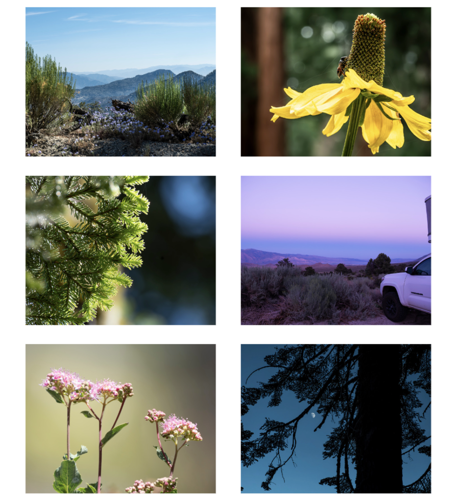 Favorite moments in California