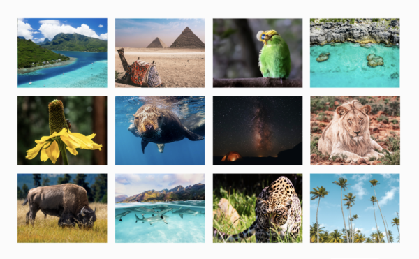 SOLD OUT 2024 Calendar - Image 2