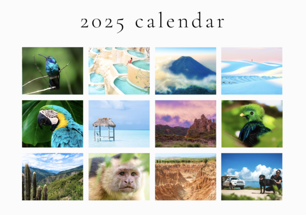 2025 Calendar