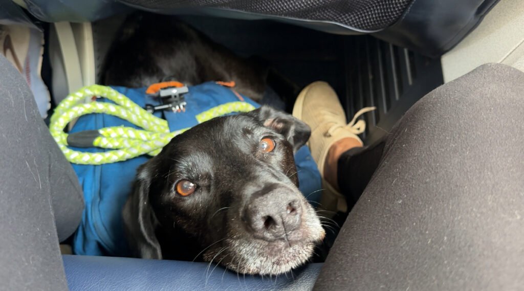 Porter on the airplane