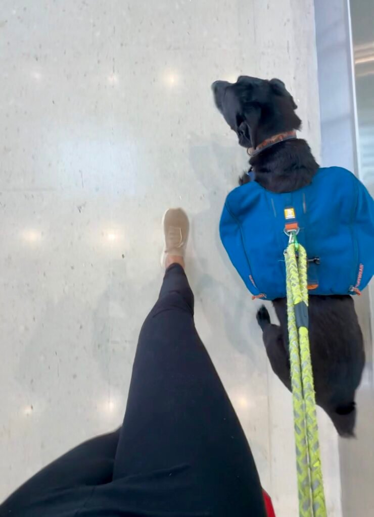 porter at the airport