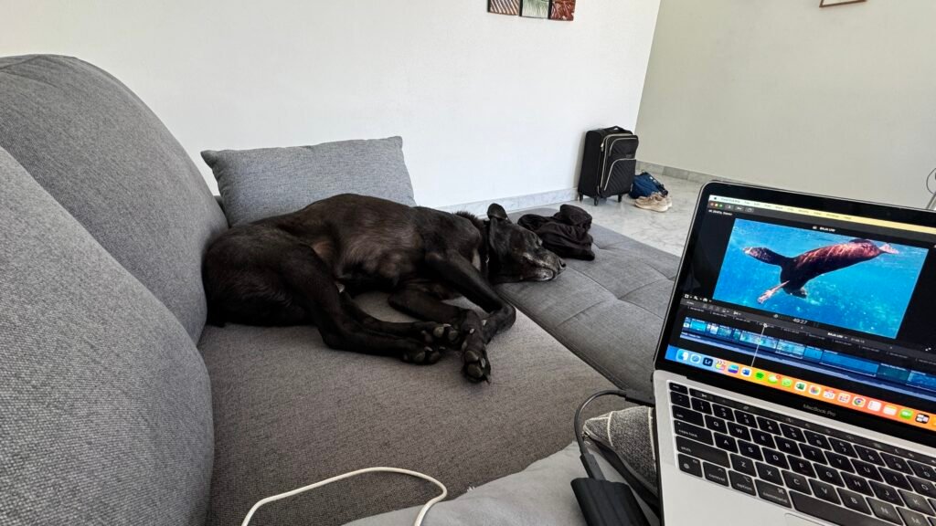 porter preparing to fly