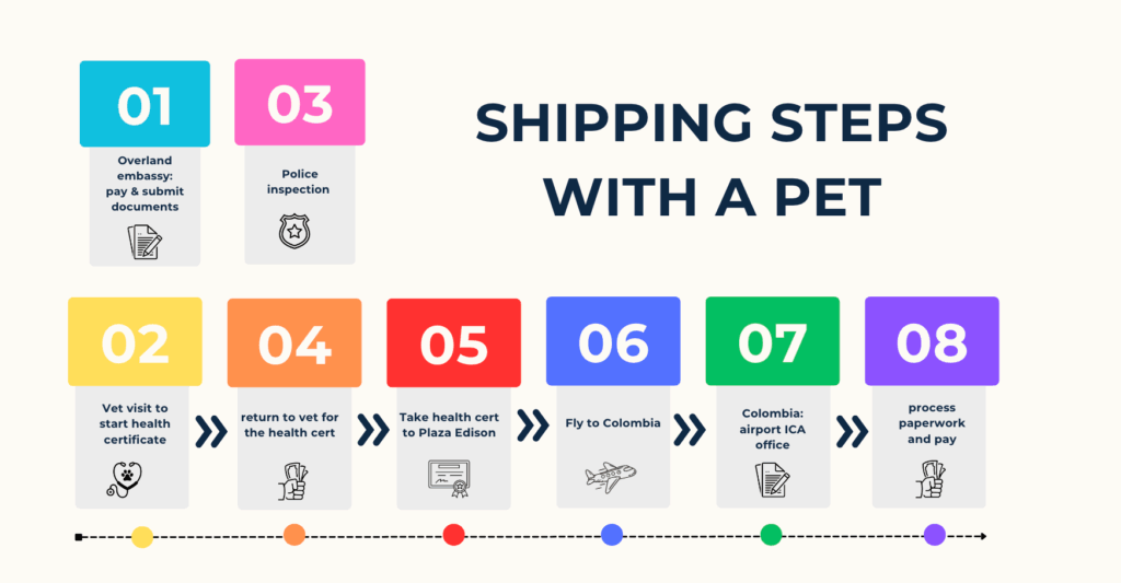 shipping the darien gap with a dog