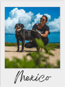 Mexico travel guide
