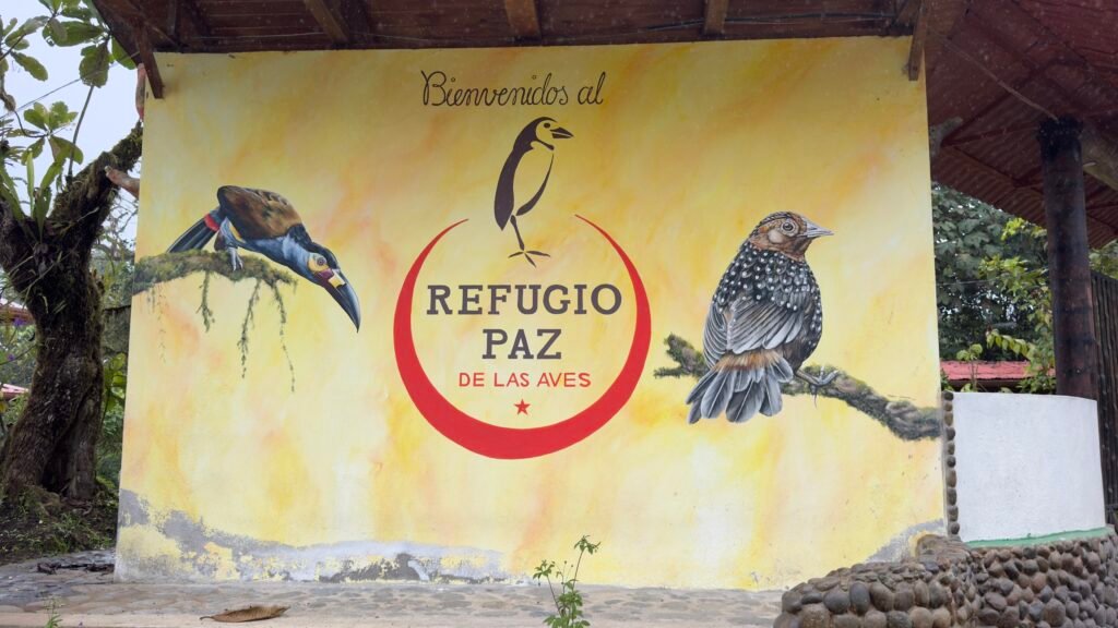 Bird Watching in Ecuador Refugio Paz de Las Aves
