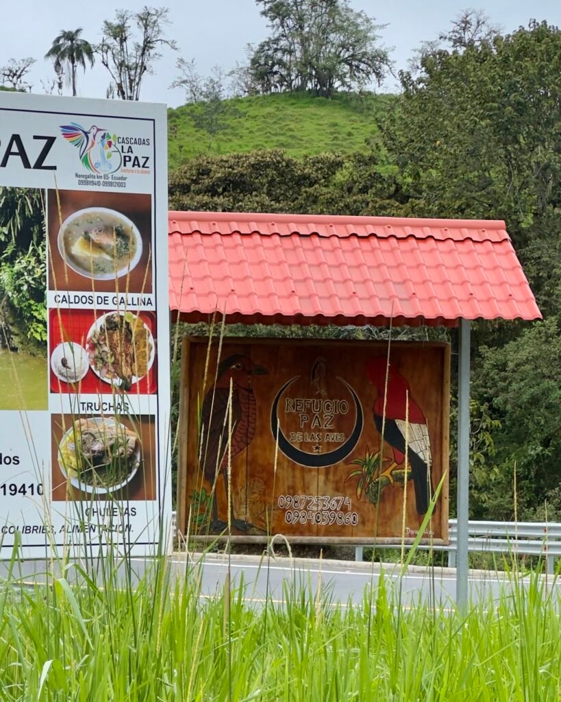 Bird Watching in Ecuador Refugio Paz de Las Aves