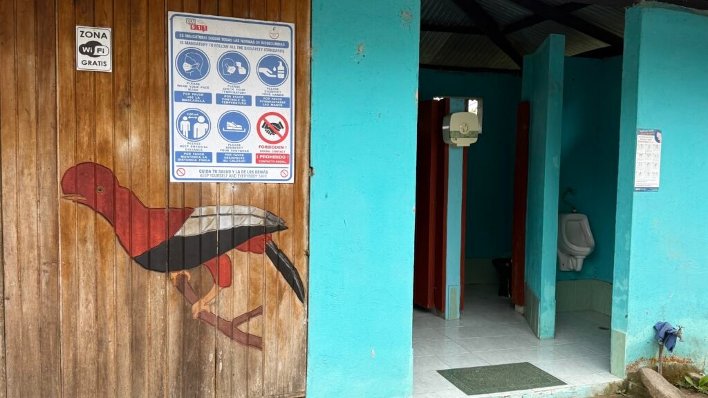 Bird Watching in Ecuador Refugio Paz de Las Aves