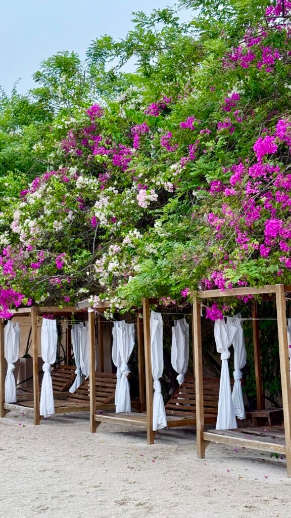 ANAHO Beach Club Cartagena