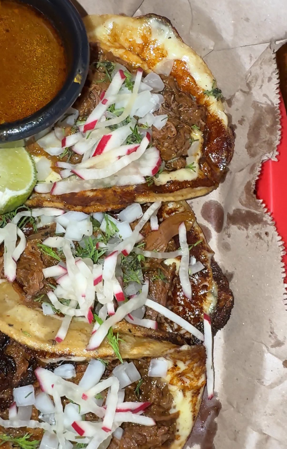 Quesobirria Taco Gordo Cartagena