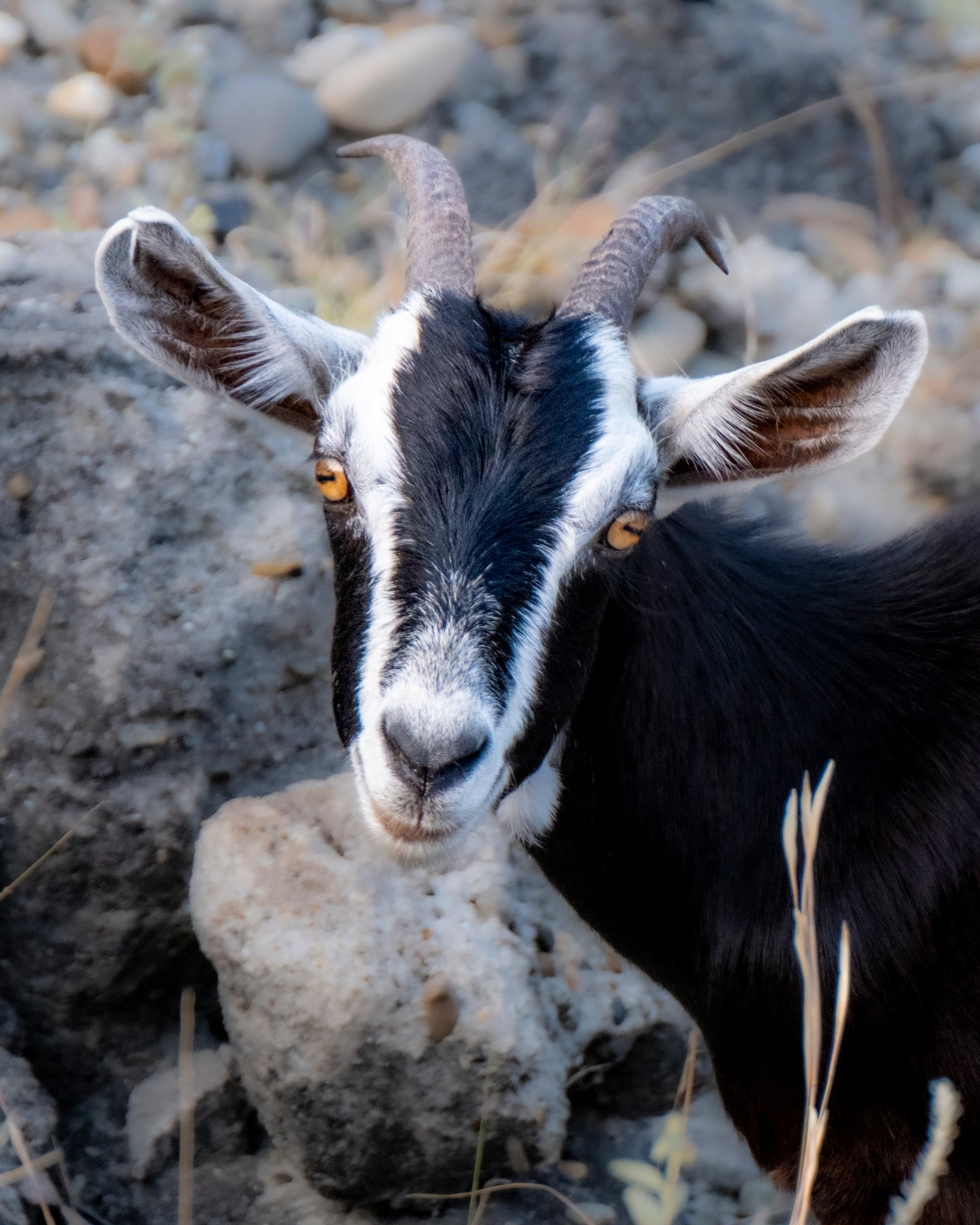 Tatacoa Desert Colombia