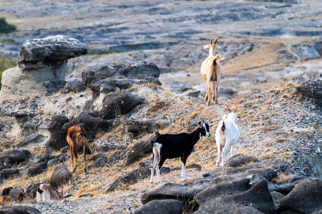 Tatacoa Desert Colombia