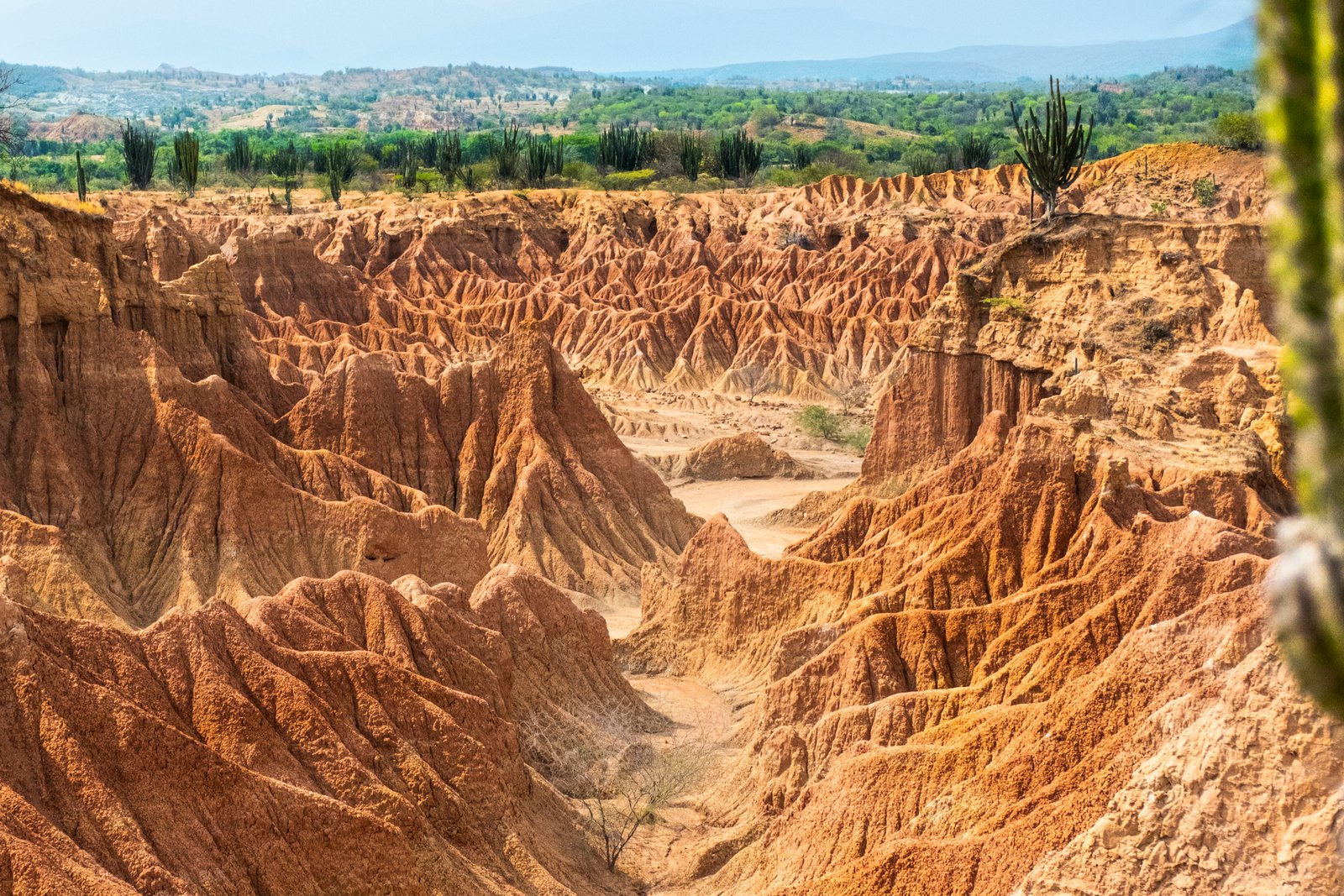 TATACOA desert COLOMBIA