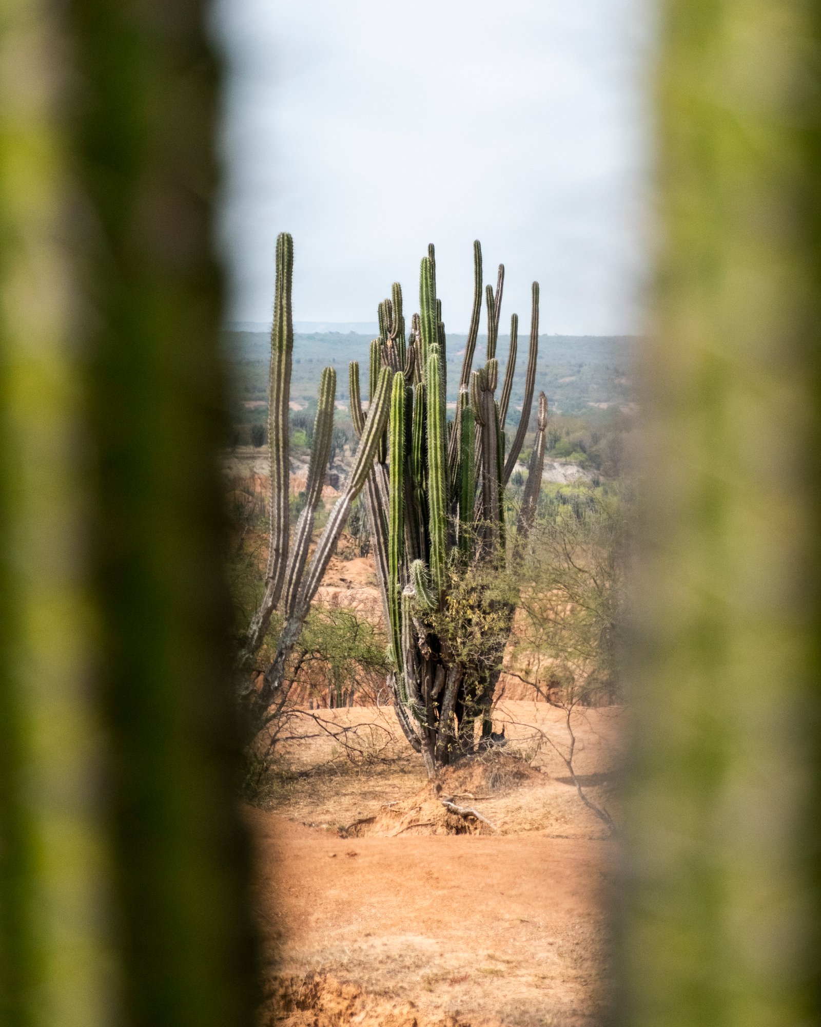 Wild Camp in Tatacoa Desert Colombia