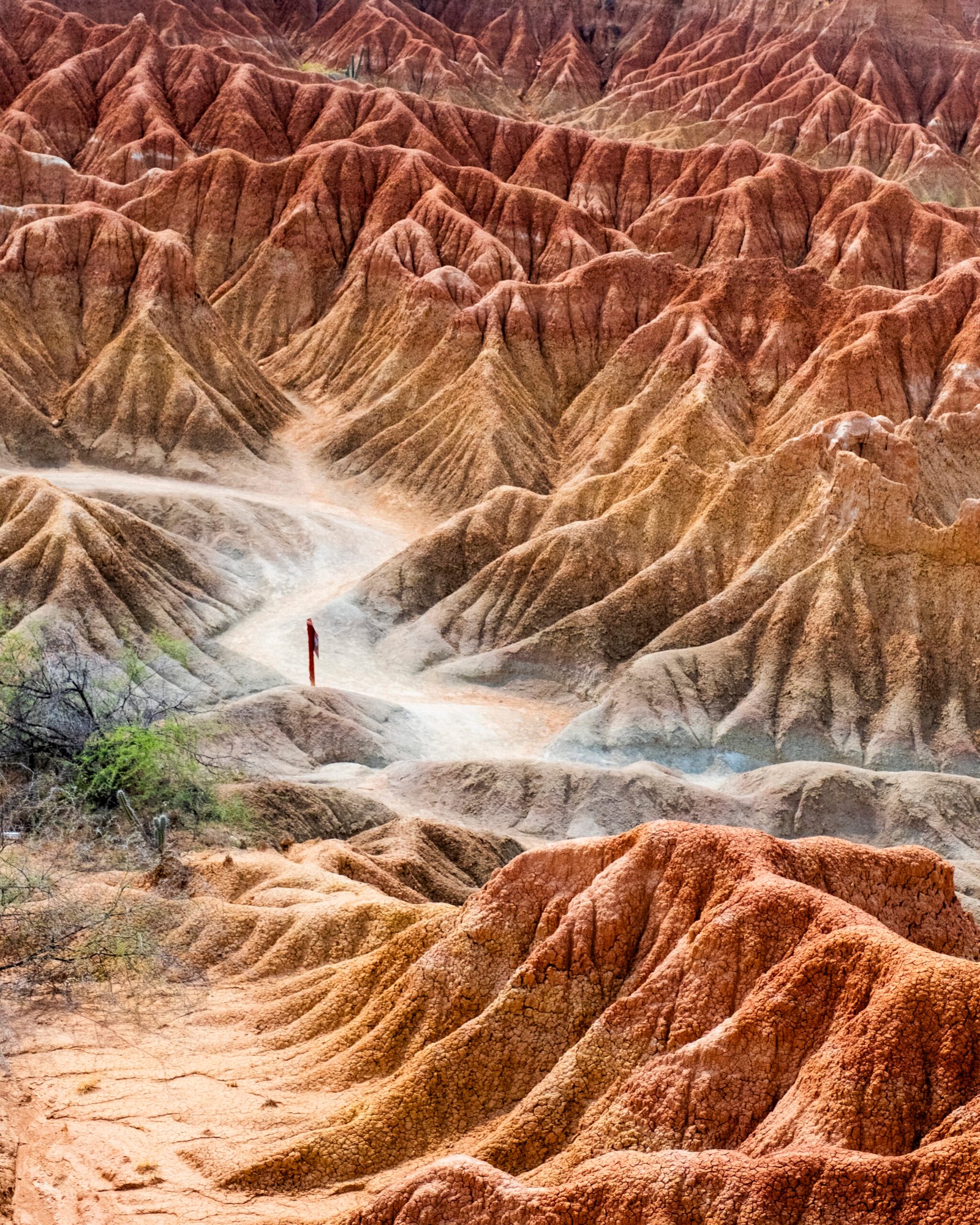 TATACOA desert COLOMBIA