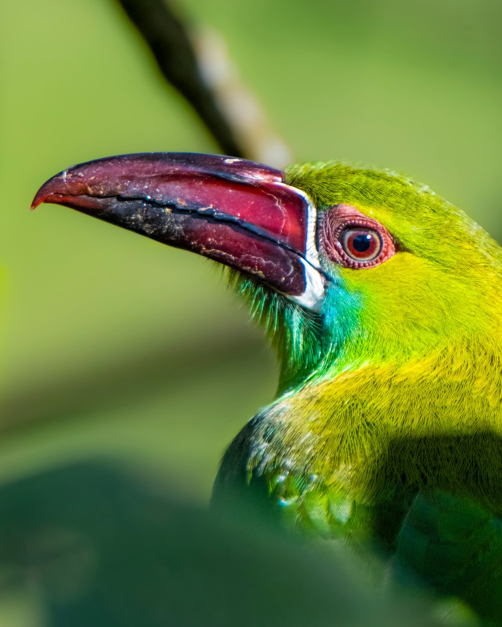 Refugio Paz de Las Aves
